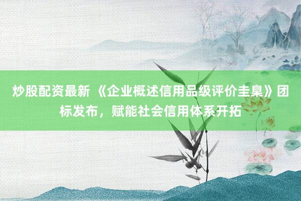 炒股配资最新 《企业概述信用品级评价圭臬》团标发布，赋能社会信用体系开拓