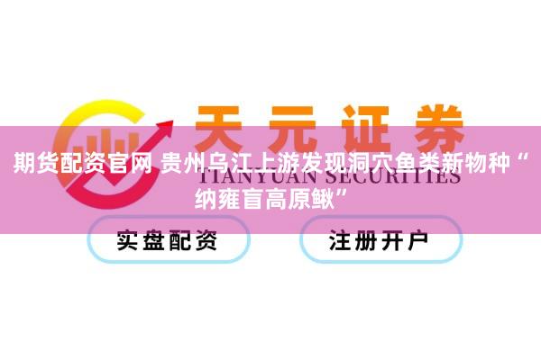期货配资官网 贵州乌江上游发现洞穴鱼类新物种“纳雍盲高原鳅”