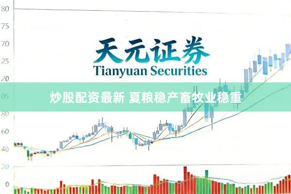 炒股配资最新 夏粮稳产畜牧业稳重